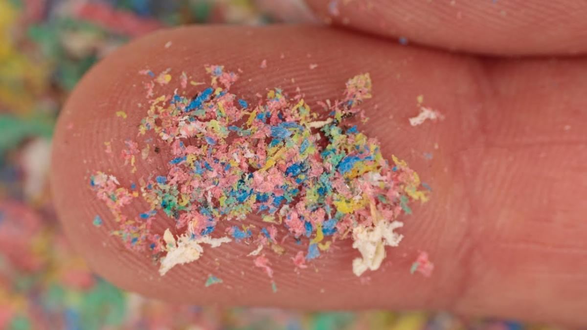 Pericolul din farfurie. Cum alegem peștele mai puțin contaminat cu microplastice