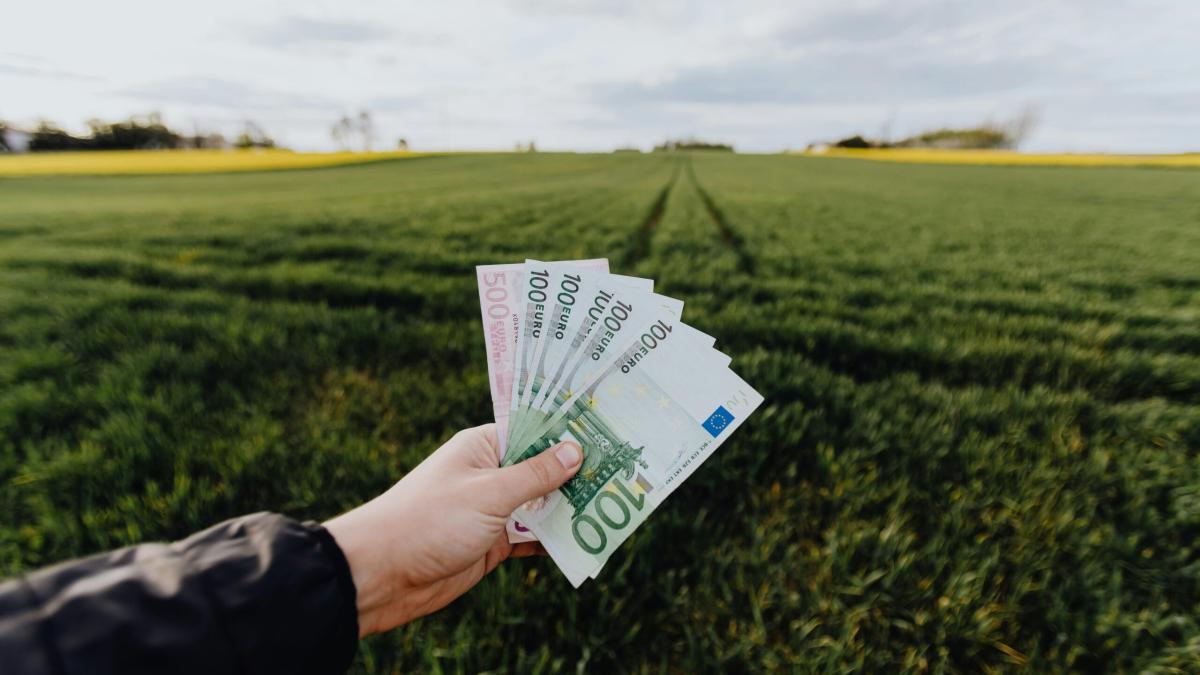 De ce nu mai trimit românii din diaspora bani în ţară