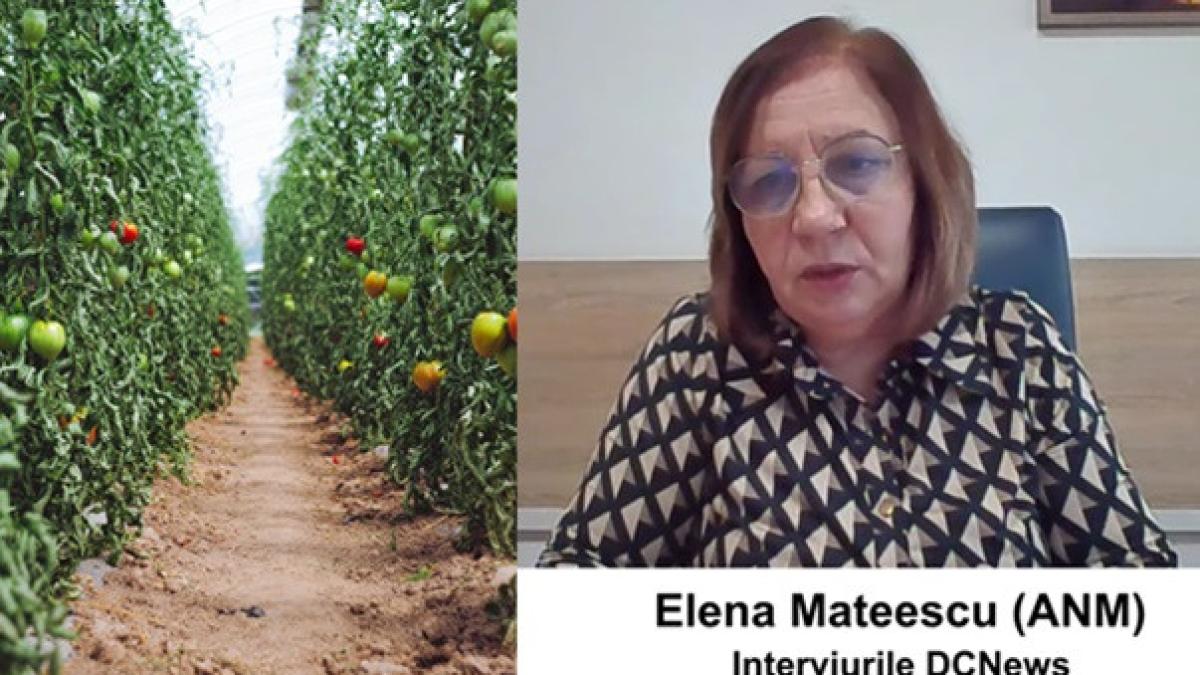 Cum se anunță anul agricol după o iarnă călduroasă. Elena Mateescu, directorul executiv ANM vine cu explicații