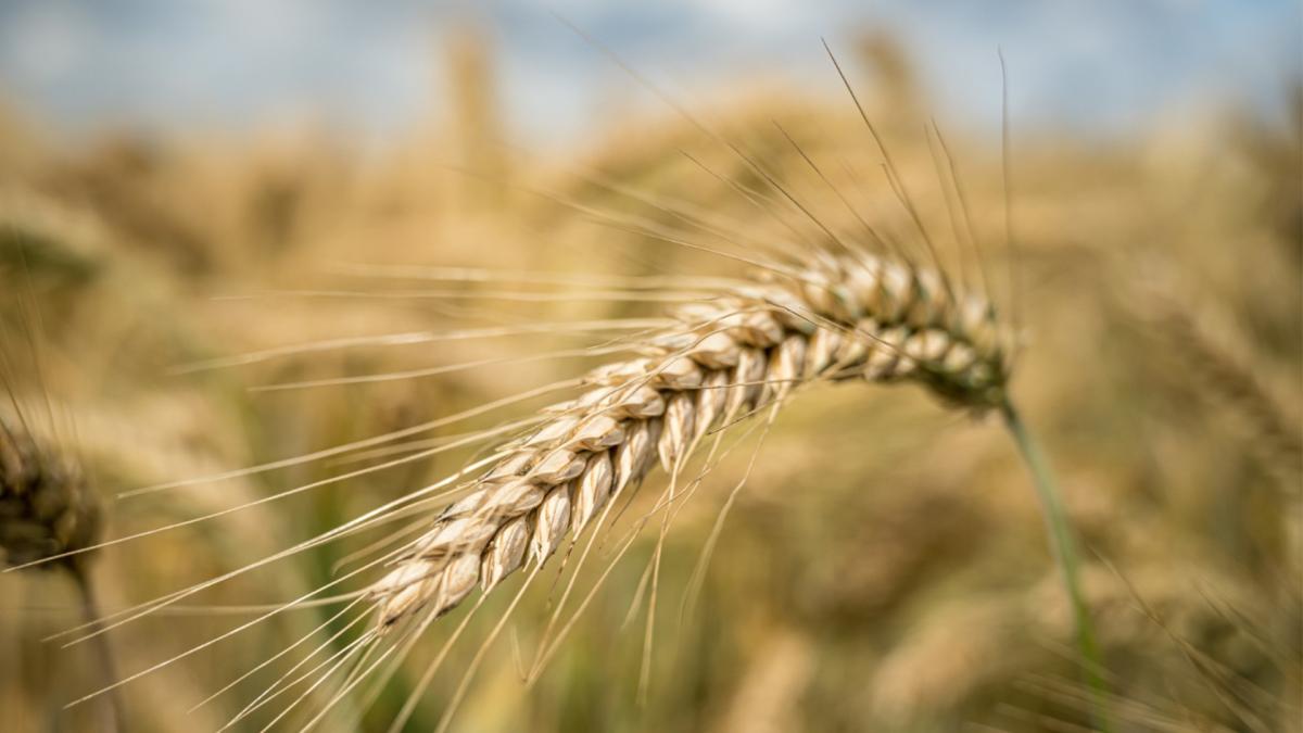 România devine centru european pentru meteorologie și agricultură sustenabilă: ANM lansează „Clădirea Verde”