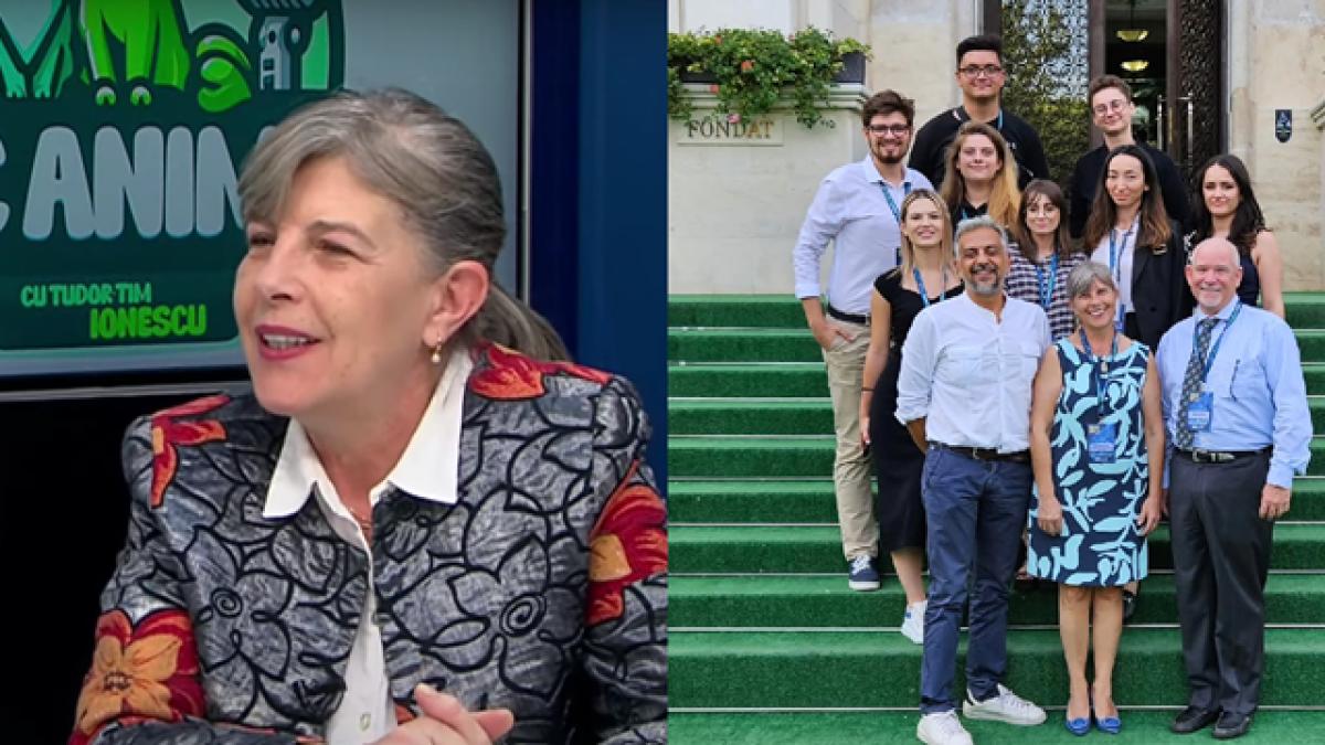 facultatea de medicina veterinara din bucuresti alegerea studentilor din intreaga lume este o meserie care te schimba pentru totdeauna facultatea de medicina veterinara din bucuresti alegerea studentilor din intreaga lume este o meserie care te schimba pentru totdeauna