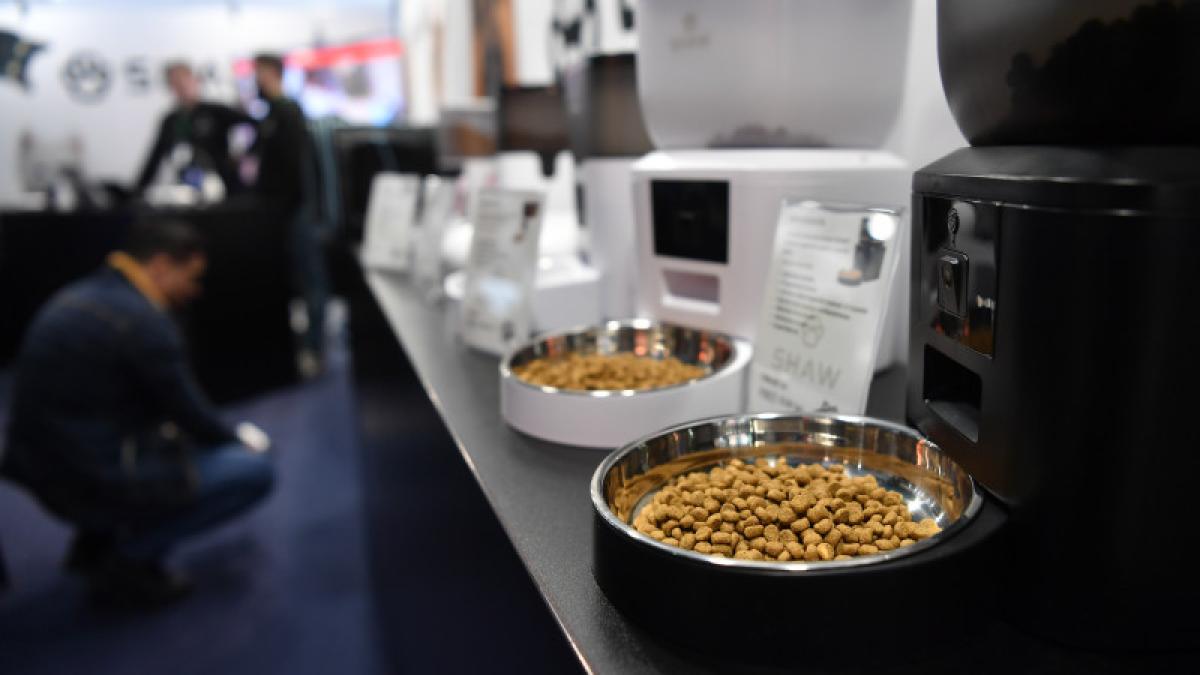 Hrana pentru animalele de companie, un produs care cântărește mult la deficitul comercial al României. Ce produse alimentare se mai află pe listă