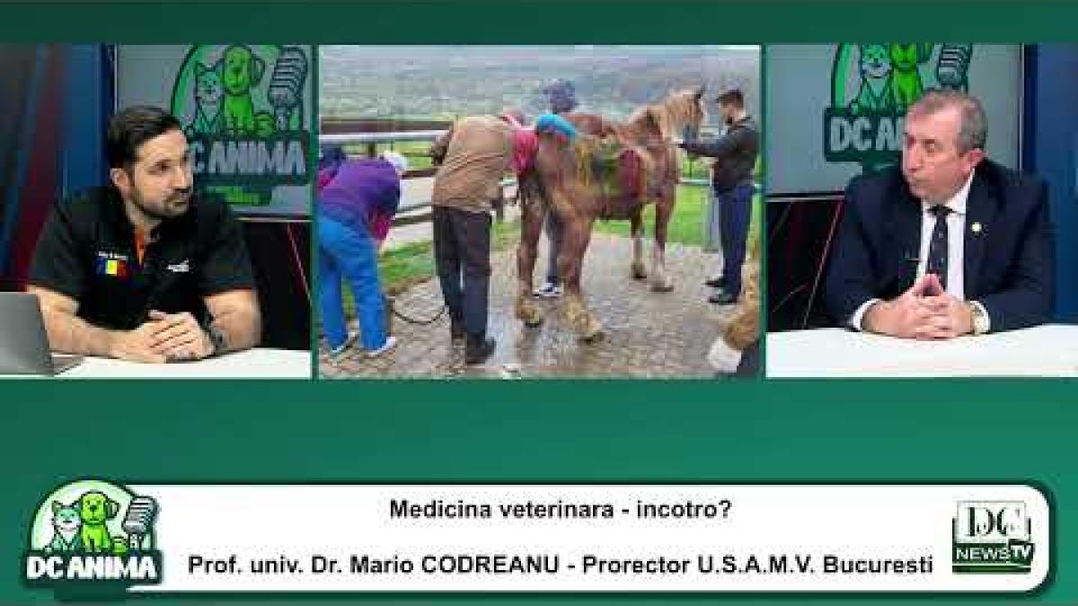 Secretele meseriei de veterinar. Prof. univ. dr. Mario Codreanu, la DC Anima