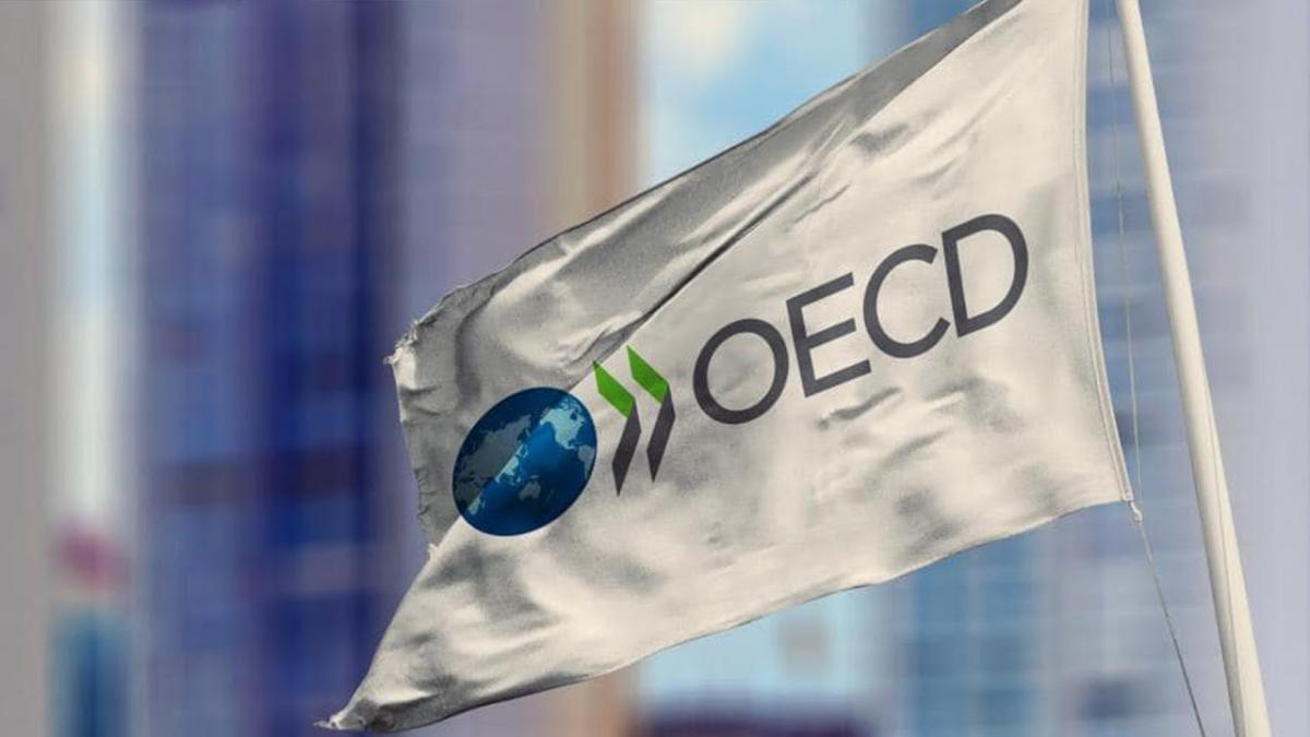 Beneficiile României după aderarea la Organizația pentru Cooperare și Dezvoltare Economică. Luca Niculescu: „OCDE nu-ți dă bani dar te învață cum să faci bani”
