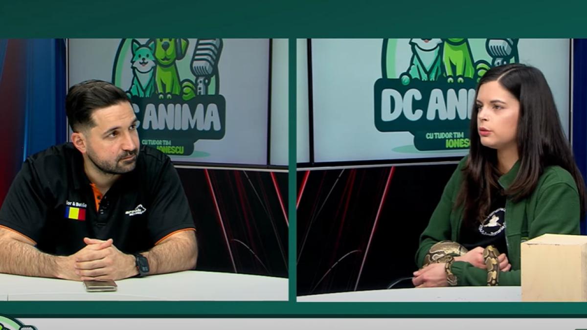 Dr. Oana Vasiliu explică prezența șerpilor în București și cum trebuie să reacționăm