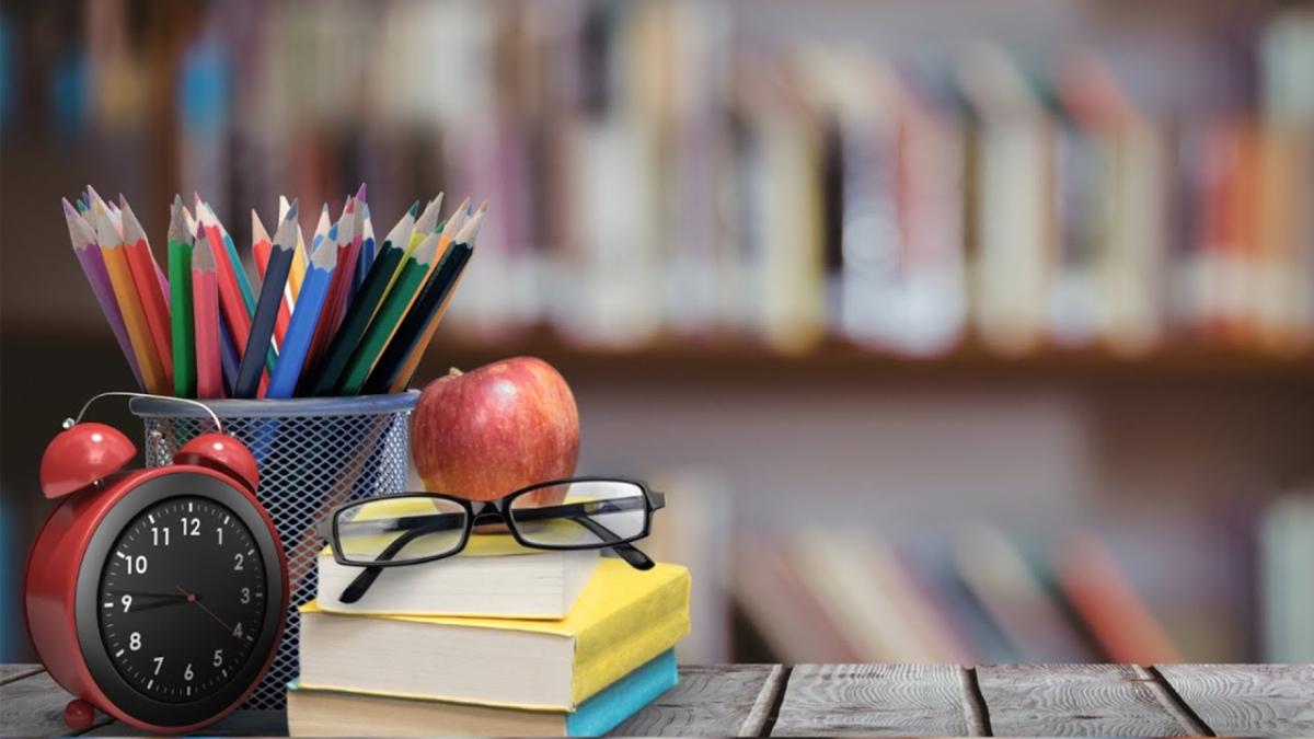„Școala ar trebui să se focuseze pe a crea competențe”. Cum îi poate schimba pe adolescenți educația personalizată