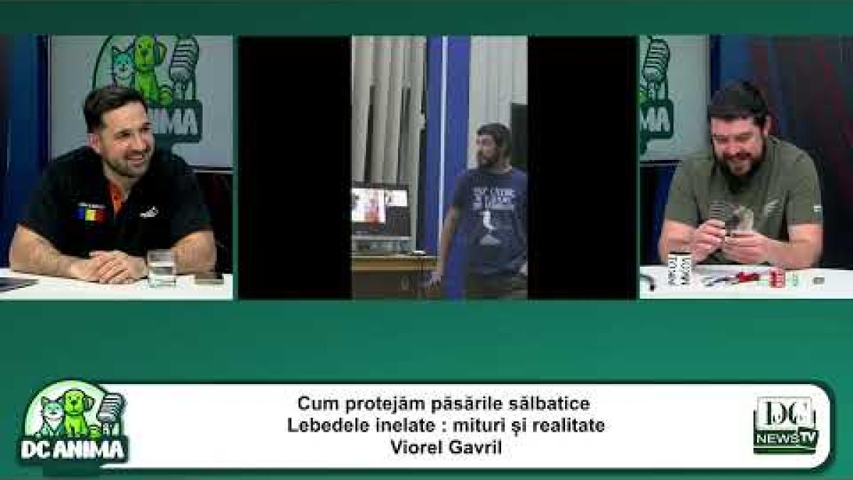 Totul despre păsările sălbatice, la DC Anima. Biologul Viorel Gavril, invitatul săptămânii