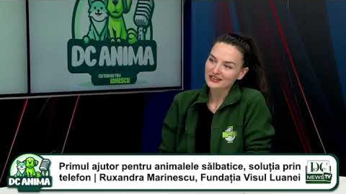 Ruxandra Marinescu, invitata lui Tudor Tim Ionescu la DC Anima - Video
