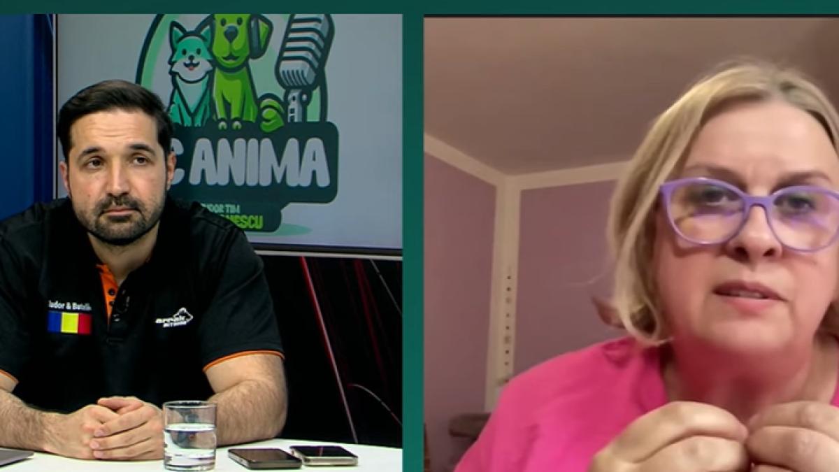 Tu știai ce este etologia? Revoluționează înțelegerea comportamentului animal