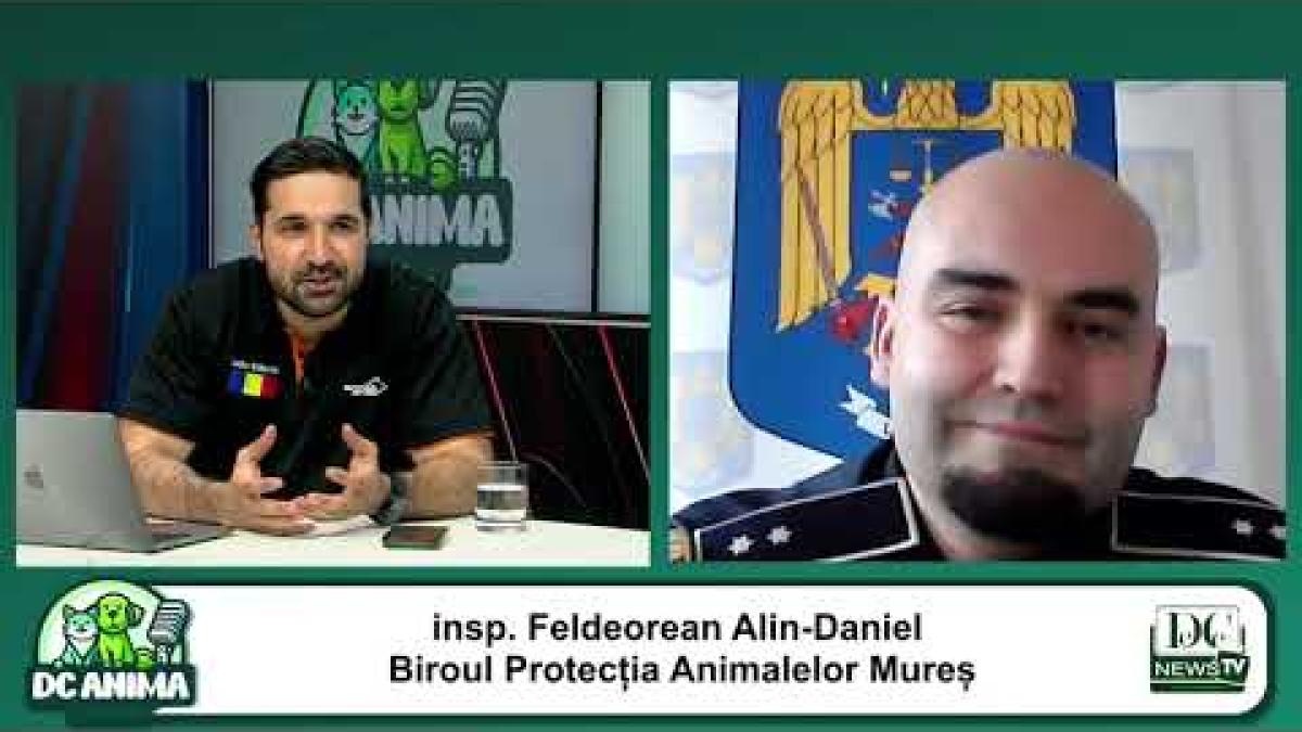 Salvarea animalelor: Ce face poliția și ce putem face noi? Insp. Feldeorean Alin-Daniel, interviu