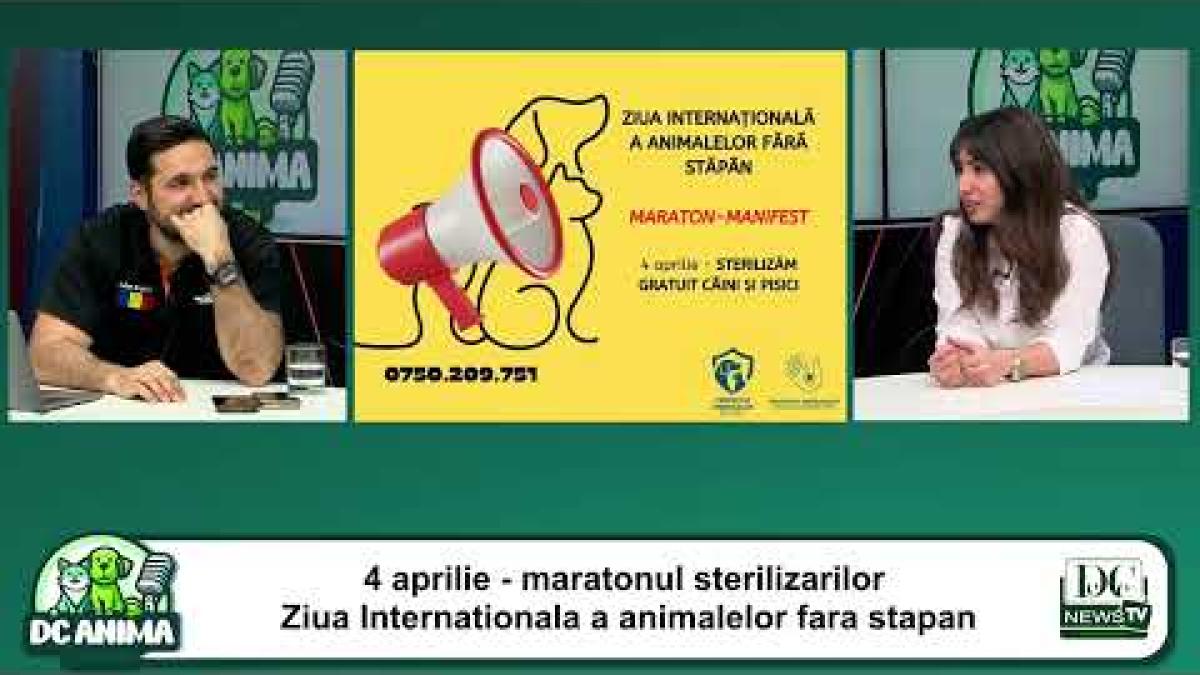 Maraton-manifest de Ziua Internațională a Animalelor fără Stăpân. Anca Stoenescu, la DC Anima