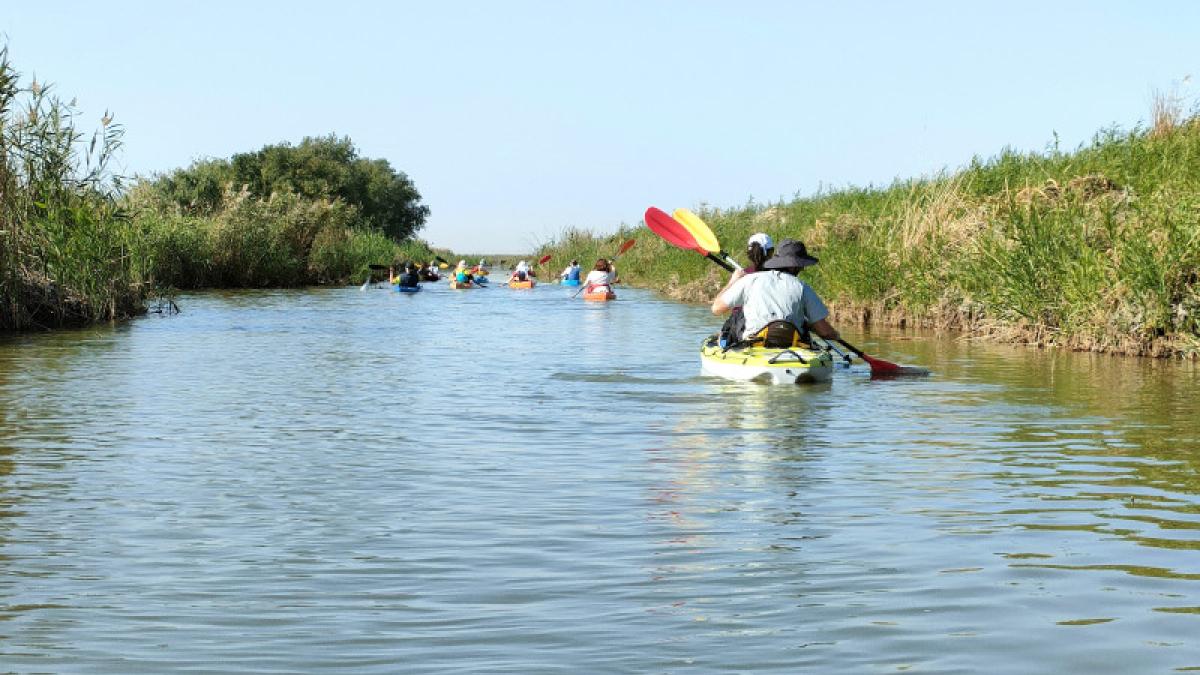 Un grup de belgieni a surprins în Delta Dunării. "12-14 ore pe zi. Foarte pasionaţi"