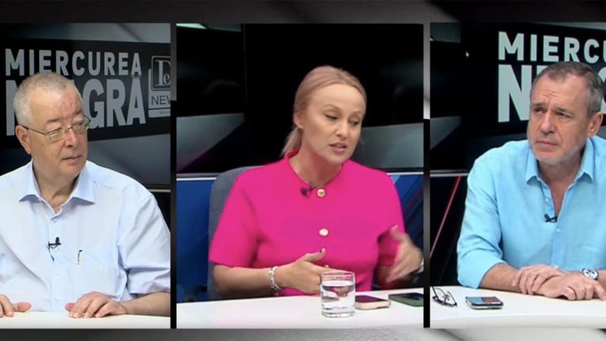 CCR a schimbat jocul pentru SRI în 2023. Diana Tache a spus care a fost singurul partid care s-a opus