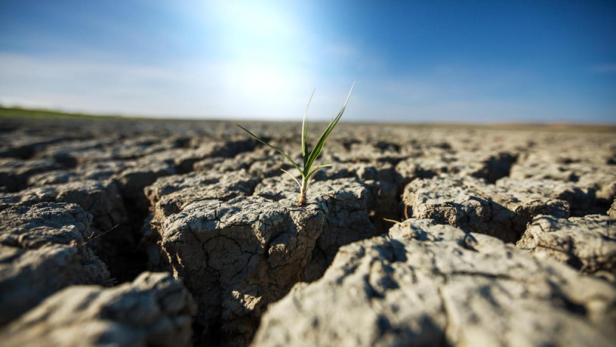 Cum va afecta seceta din acest an producția națională de energie. Ce spune un climatolog ANM