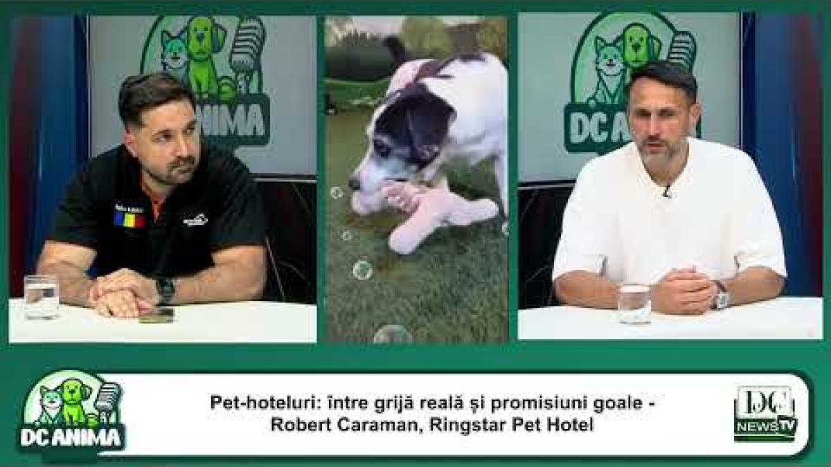 Pleci în concediu și n-ai idee ce să faci cu animalul de companie? Robert Caraman are răspunsul