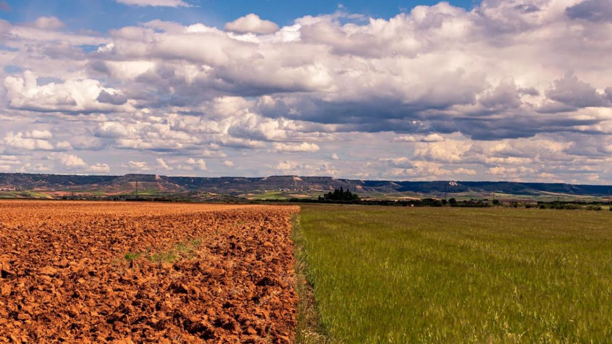 Secetă sau inundaţii? Ce urmează pentru România după valul de căldură