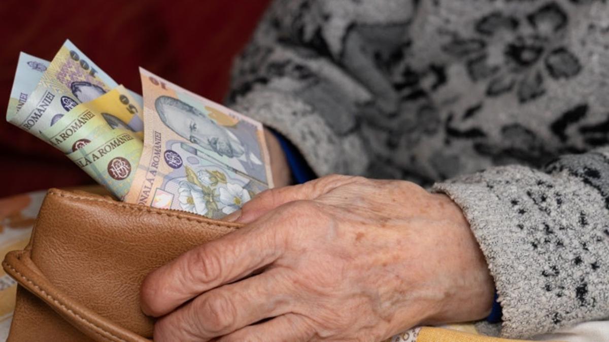 "Românii de pretutindeni au mărit în fiecare zi punctul de pensie". Cu cifrele pe masă