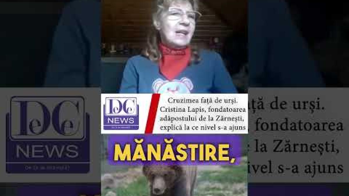 Cruzimea față de urși. La ce nivel s a ajuns în România, explică Cristina Lapis