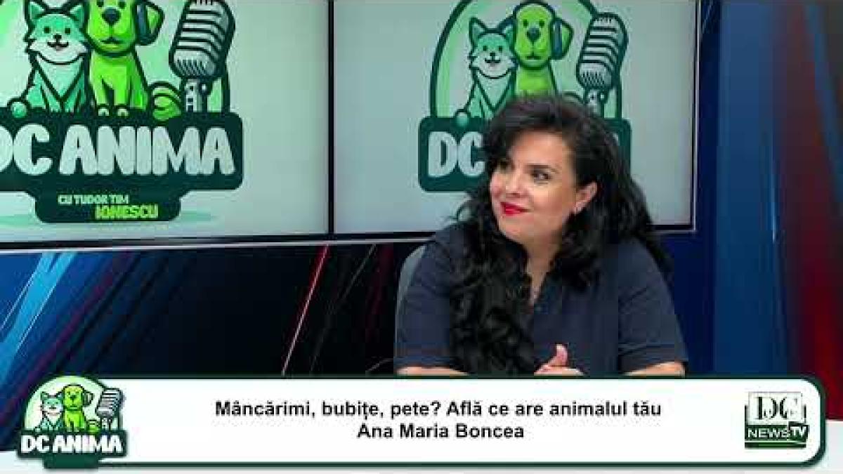 Mâncărimi, bubițe, pete? Află ce are animalul tău | Ana Maria Boncea, medic veterinar