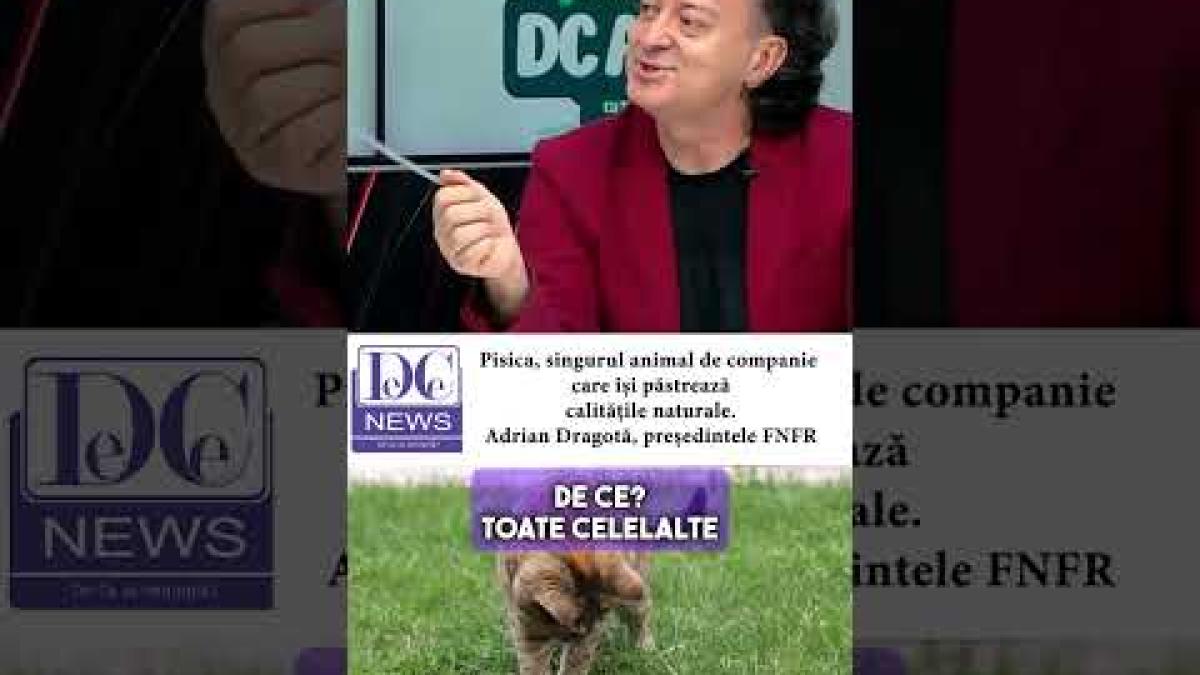 Invitatul DC Anima, Adrian Dragota, președintele FNFR, despre cum pisicile și au păstrat instinctele
