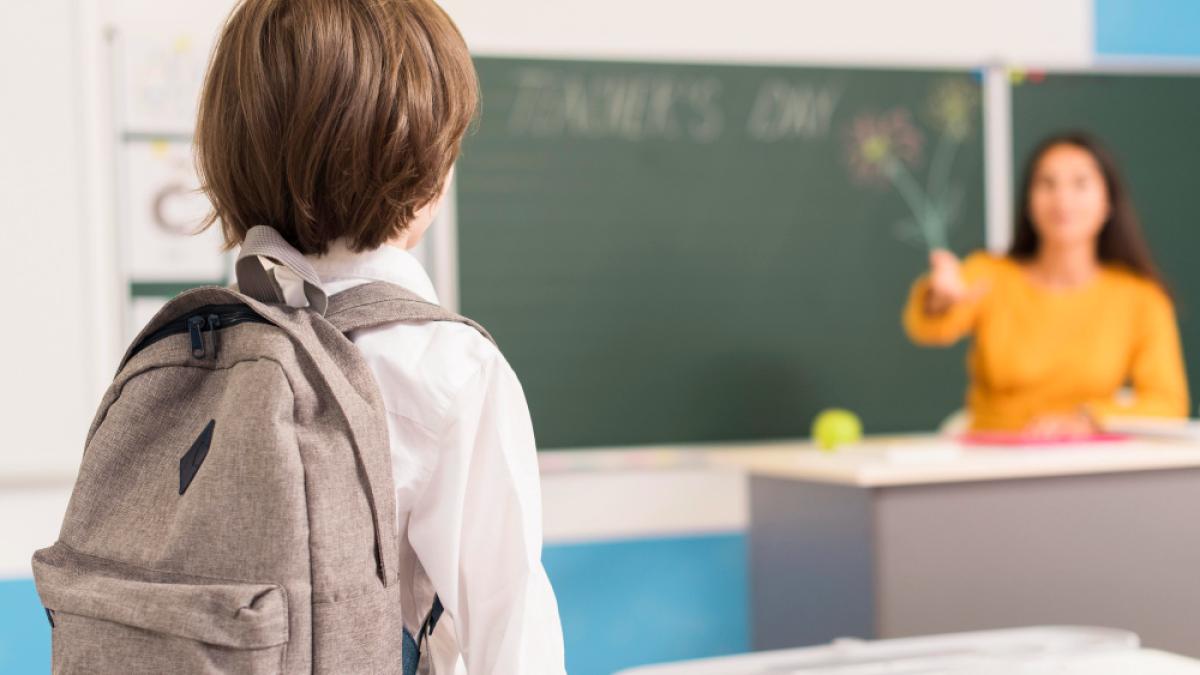 Ce înseamnă de fapt plata cu ora pentru profesori și ce a omis ministrul Daniel David în reforma educației