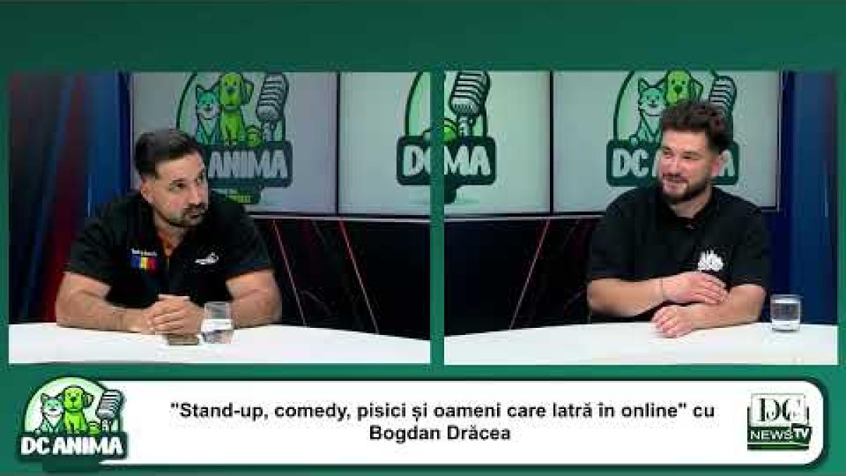 Faţa neplăcută a asociaţiilor care salvează animale