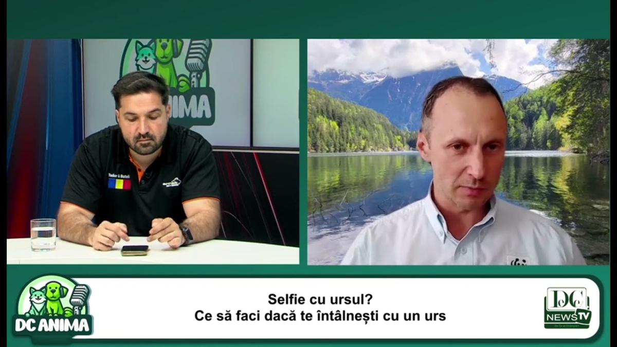 România invadată de urși? Adevărul din spatele imaginilor