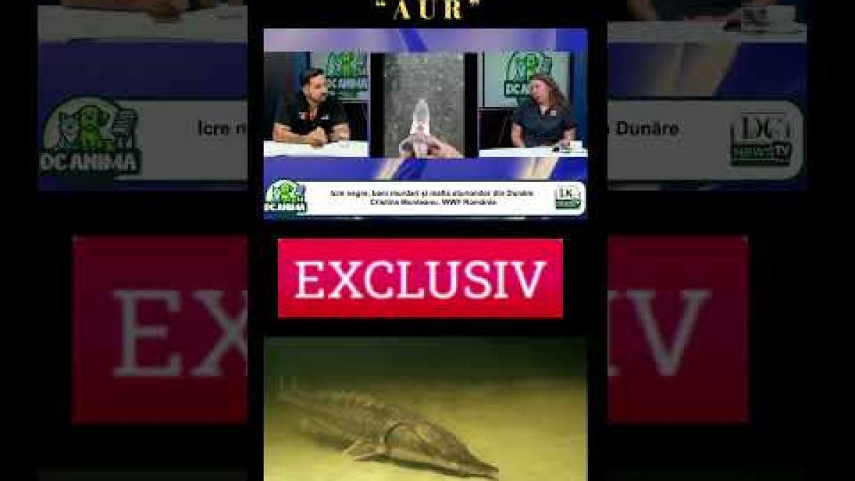 PEŞTELE DE “AUR”, interzis la pescuit
