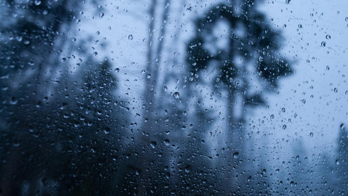 Acvaplanarea, cel mai periculos lucru pe ploaie. Cum ne dăm seama că riscăm să facem asta