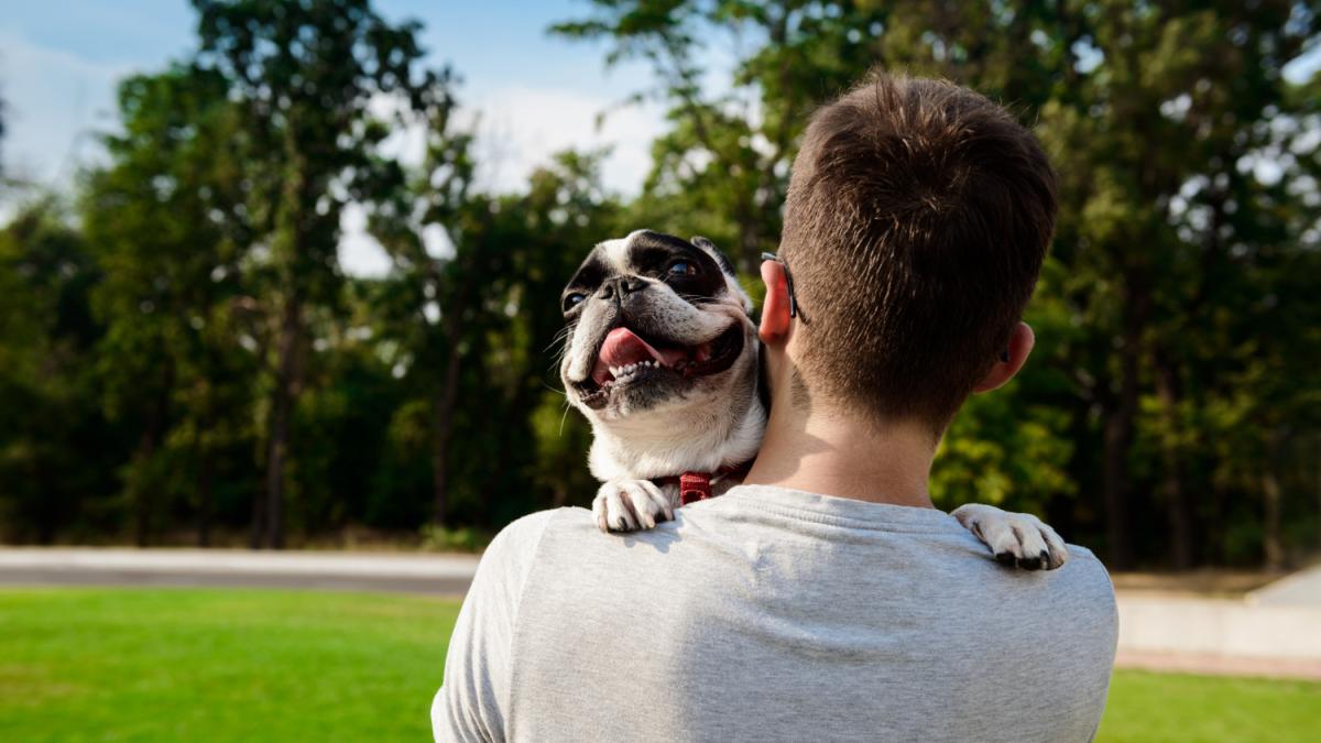 De la lup la câine de vânătoare. Legătura dintre începuturile prieteniei între câine și om și faza somnului profund