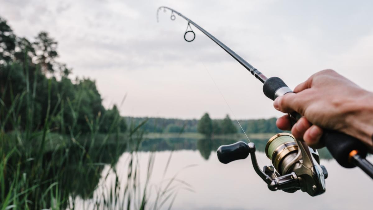 De ce poveștile pescărești sunt atât de exagerate? Prof. dr. Ion-Ovidiu Pânișoara vorbește despre memoriile false