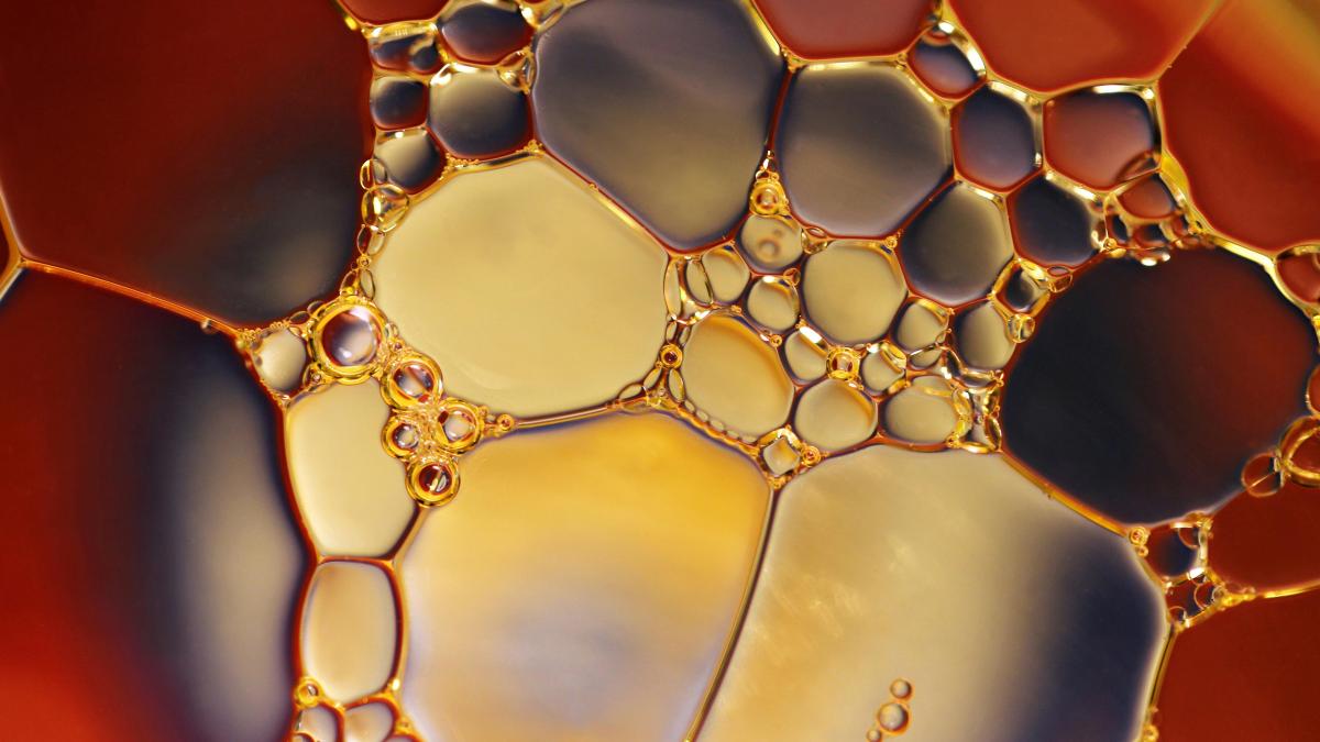 Ce sunt E-urile şi cum ne raportăm la ele?