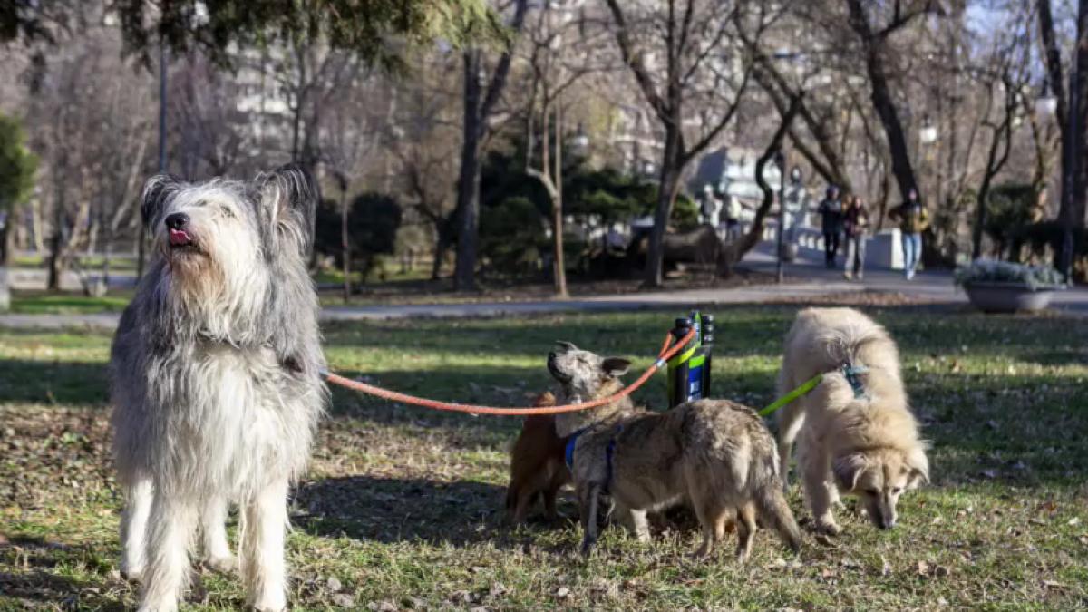 cat de greu este sa faci un film cu catei cristina iordache am gandit programul in jurul lor