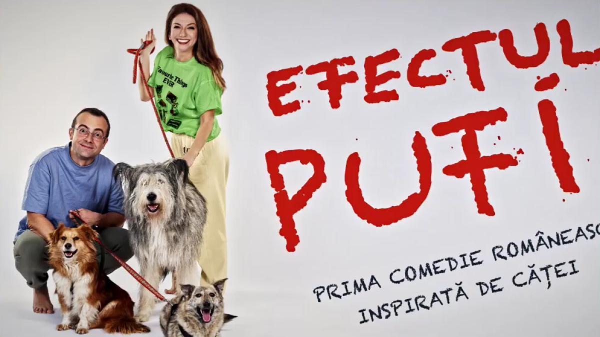 povestea catelului vagabont din spatele filmului efectul pufi o productie romaneasca