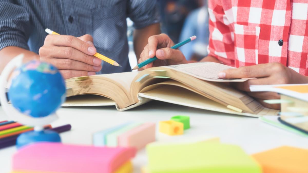 Educația are ministru. Ce așteptări are sistemul? Prof. univ. dr. emerit Ioan Neacșu răspunde la DC Edu