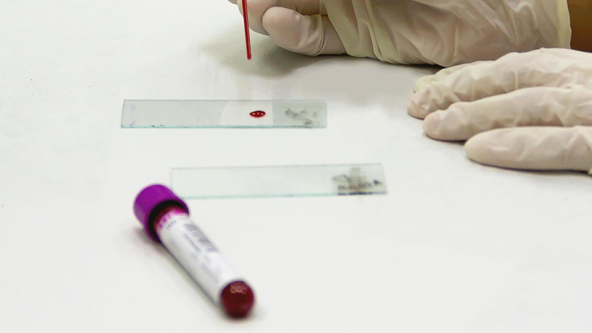 Teste genetice pe ciobănescul mioritic. Reacţia cercetătorilor americani