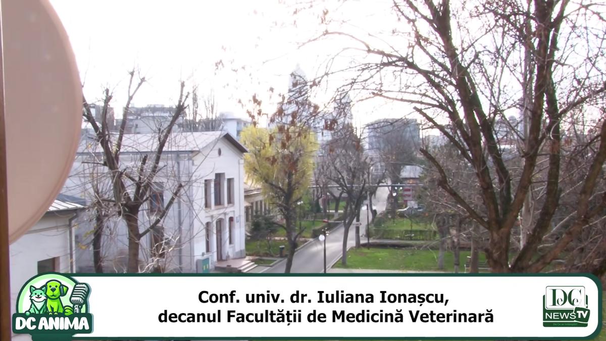 de la razboaie la comunism cum a supravietuit facultatea de medicina veterinara trecerii timpului