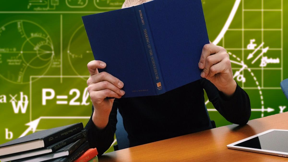 Analfabetism funcțional, criza lecturii și AI. Liviu Papadima, invitatul lui Sorin Ivan la DC EDU